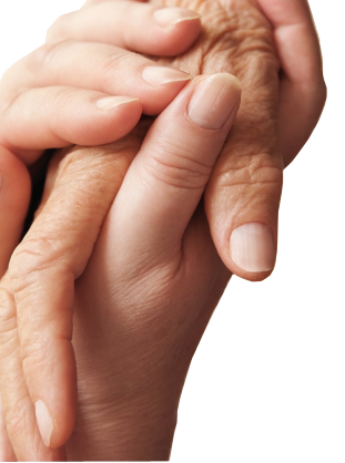 Aide A Domicile Toulouse Services A La Personne Personnes Agees Dependantes